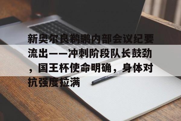 新奥尔良鹈鹕内部会议纪要流出——冲刺阶段队长鼓劲，国王杯使命明确，身体对抗强度拉满的简单介绍-AYX SPORTS